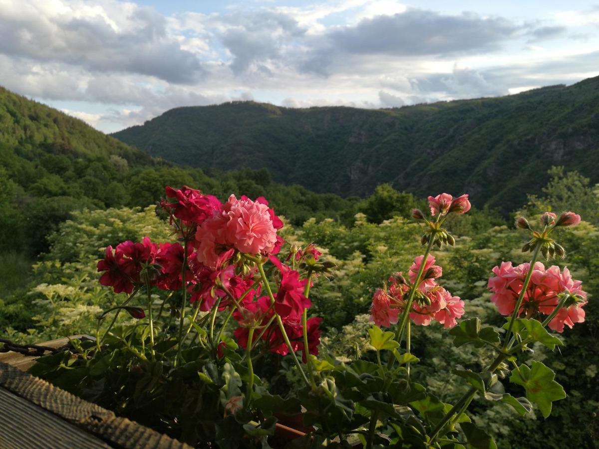 Kesta Za Gosti Kanush Voyvoda Kovačevica Dış mekan fotoğraf